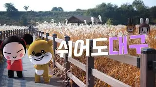 [PUCCA] PUCCA x DAEGU 대구 나들이