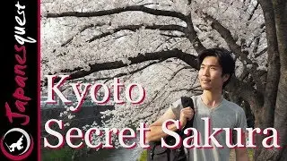 Don't Tell Anyone! - 6 Best SECRET Places to See Sakura in Kyoto.