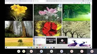 How to create a Photo Gallery Website with Python Django | Python Tutorial | Free Workshop