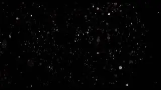 Gold And White Particles Floating Slowly In Darkness Free 4K Footage