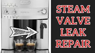 How to replace and Repair Leaking Steam Wand on DeLonghi Magnifica Bean to cup coffee machine