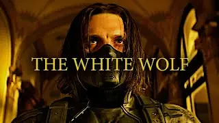 (Marvel) Bucky Barnes | The White Wolf