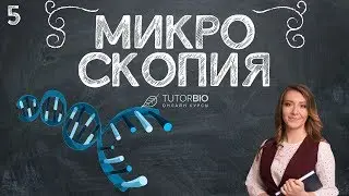 Микроскопия. Как пользоваться световым микроскопом. Лекция из курса 