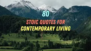 80 - Stoic Quotes For Contemporary Living:      #quote#DailyMotivation#inspiration #motivational