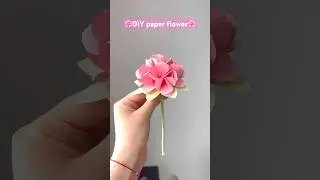 DIY paper flowers🌸