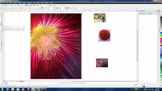 Creating A Magazine Cover In CorelDRAW X6