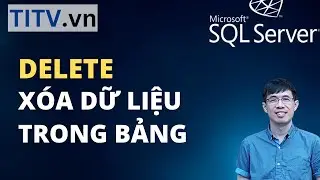 Học SQL Server - Bài 40. Câu lệnh DELETE xóa dữ liệu trong bảng