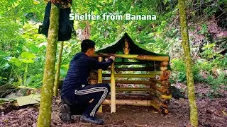 5 Days of Solo Bushcraft. Building a Shelter With 100 Wild Banana Trees