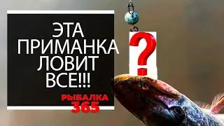 Щука на рака. Приманка на которую клюет[Ловля щуки]