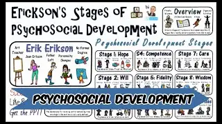 Erik Erikson Stages of Psychosocial Development Theory