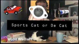 Sports Cat or Decat? Which one should you buy?