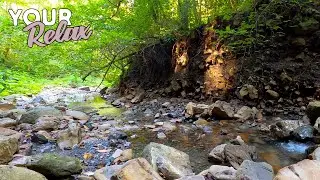 Gentle sounds of a mountain stream. Soothing sounds of running water.
