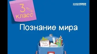 Познание мира. 3 класс. Мы вместе /14.10.2020/