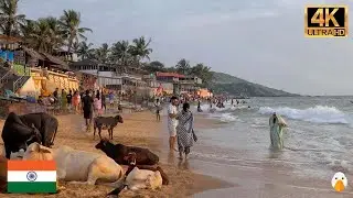 Goa, India🇮🇳 Clean City and Best Beach Resorts in India (4K HDR)