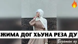 Красивая Чеченская Песня Жима Дог Хьуна Реза Ду😍