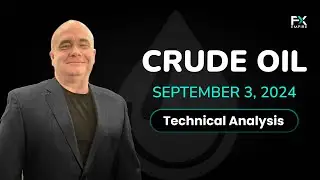 Crude Oil Drops Hard in The Early Hours: Forecast & Technical Analysis by Chris Lewis (September 3)