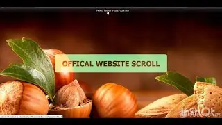 One Line of CSS Code to Add Smooth Scrolling Effect on Any Website in 2020 | Computer Code