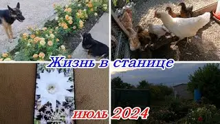 Жизнь в станицеПереезд на ЮгМного ли для счастья надоПобережье Азовского моря и Таганрогского залива