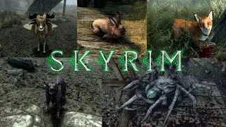 The Elder Scrolls V: Skyrim - Pets of Skyrim (Creation Club Quest)