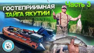 ОДИН В ТАЙГЕ. ОТЛИЧНЫЙ УЛОВ. СОЛИМ ХАРИУСА. ГОТОВИМ УХУ НА КОСТРЕ.