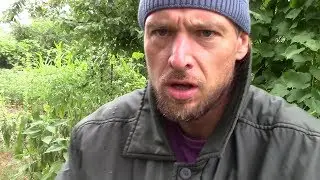 МОЩНЫЙ метод от ДЕПРЕССИИ и НЕУДАЧ