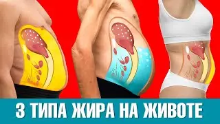 3 типа жира на животе: какой из них у вас?👀