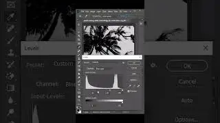 Use This Feature to Make Difficult Selections in Photoshop 2024 
