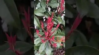 Зима закончилась! Пришла весна!