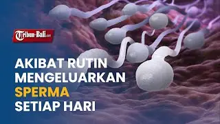 RUTIN MENGELUARKAN SPERMA SETIAP HARI