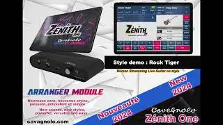 Arrangeur Cavagnolo Zenith One  Rock Tiger