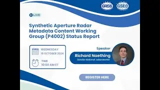Synthetic Aperture Radar Metadata Content Working Group (P4002) Status Report