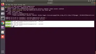 I Will Do Puppet Install Into Linux