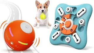 5 FUNNY Gadgets and Accessories Every Dog Owner MUST HAVE | JoysPets