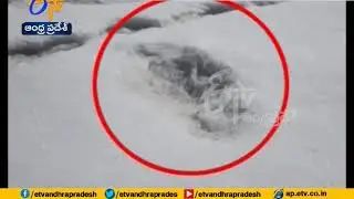 Yeti Footprints | Indian Army Mocked over Claim