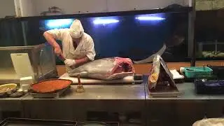 Tokyo Sushi Restaurant - Whole Tuna being filleted 1/2