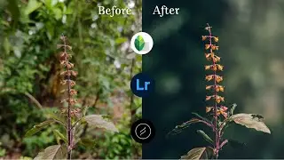 Flower Mobile editing & Background blurring | Lightroom color grading | Lens Distortions