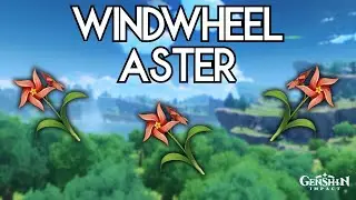 All Windwheel Aster Locations | Genshin Impact