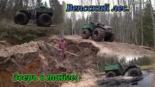 ПУТЕШЕСТВИЕ В ГЛУХУЮ ТАЙГУ НА ЛЕСНЫЕ ОЗЁРА // ВЕЗДЕХОД (КАРАКАТ) 