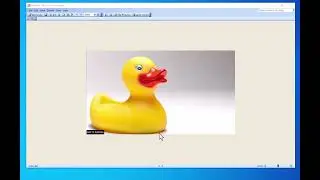 How to Test Print with Printer Settings Without Actually Printing it!