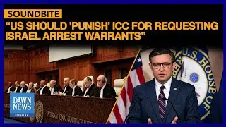 Mike Johnson Says US Should 'Punish' ICC For Requesting Israel Arrest Warrants | Dawn News English