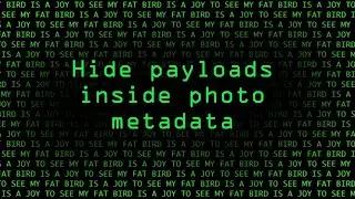 Hide Payloads for MacOS Inside Photo Metadata [Tutorial]