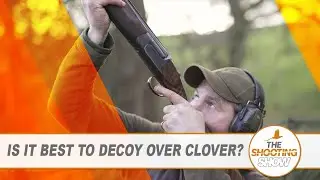 The Shooting Show - Catching a lamb-killing fox and decoying pigeons over clover