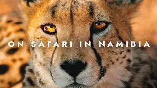 What I Learned Photographing my first African Safari (Gear, Locations, and Tips)