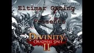 Lets Play Divinity Original Sin 2 - 96 Path of Blood