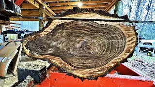 This Log Made me Nervous - Rare Walnut on the Sawmill