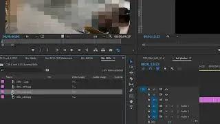 Show duplicate frame not working with photos in Premiere Pro