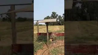 Simple Bee Water Drinking Station #savethebees #pollinators #smallfarm