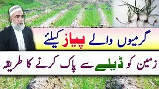 How to clear land from Deela before cultivation of summer Onion crop || Crop Reformer