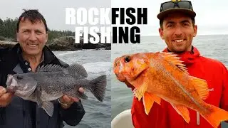 How to Catch Rockfish Fishing Ucluelet BC Black Rockfish
