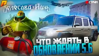 🎃СТРИМ РАДМИР РП🎃СЛЁТ ТОП БИЗНЕСА вГОС🎃ЖДЁМ ОБНОВЛЕНИЕ HALLOWEEN💰GTA RADMIR RP HASSLE🔞SAMP CRMP GTA5